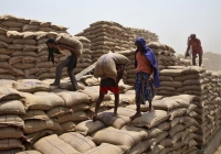 CITU DENOUNCES MODI GOVT’S DECISION TO MAKE WHEAT IMPORT DUTY FREE